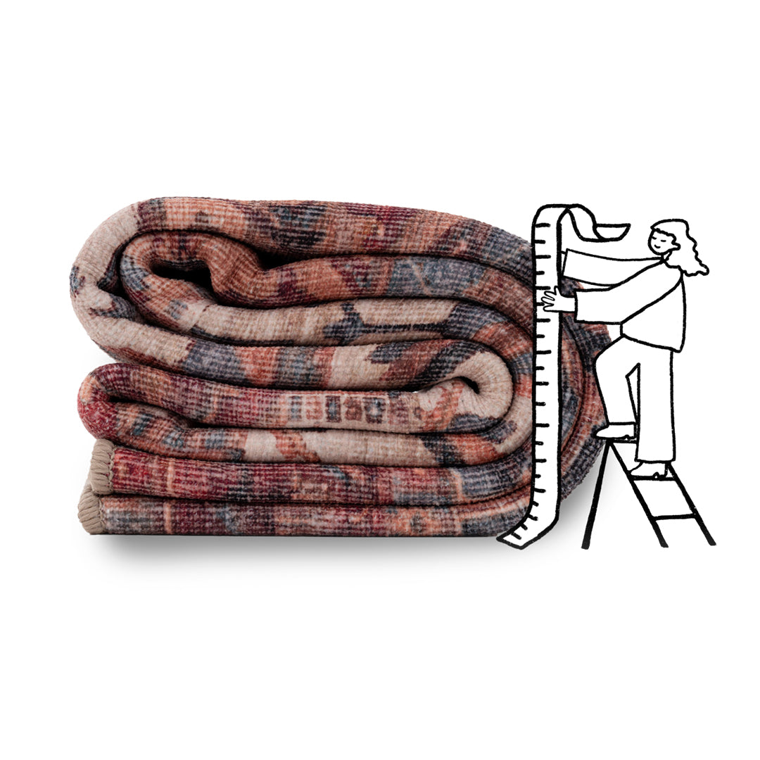 Soft Washable Red Antique Rug - Eliza