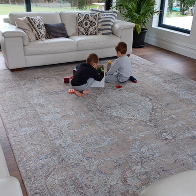 Flatwoven Washable Traditional Distressed Beige Rug - Zoe