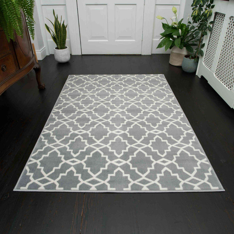 Modern Grey Trellis Living Room Rugs