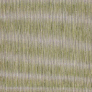 Olive Green Mottled Area Rug