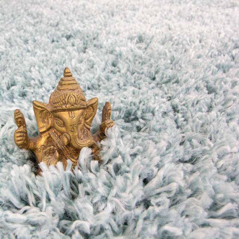 Super Soft Luxury Duck Egg Shaggy Rug