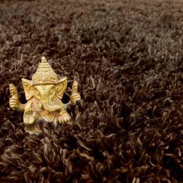 Super Soft Luxury Brown Shaggy Rug