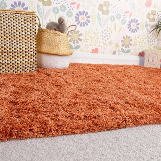 Super Soft Luxury Terracotta Shaggy Rug