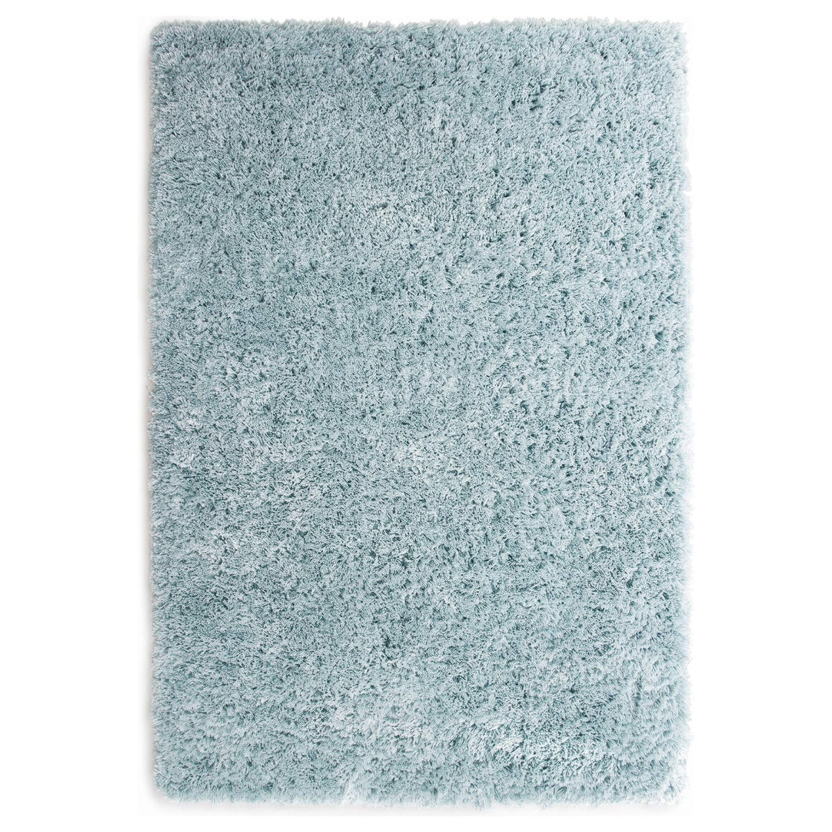 Soft Everyday Duck Egg Shaggy Rug
