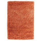 Soft Everyday Terracotta Shaggy Rug