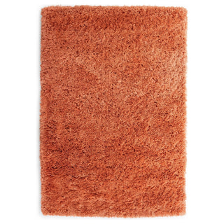 Soft Everyday Terracotta Shaggy Rug