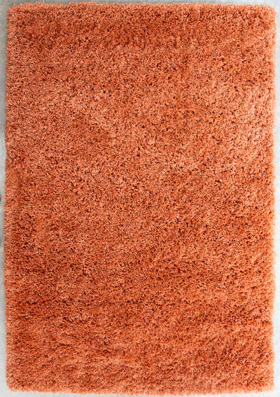 Soft Everyday Terracotta Shaggy Rug