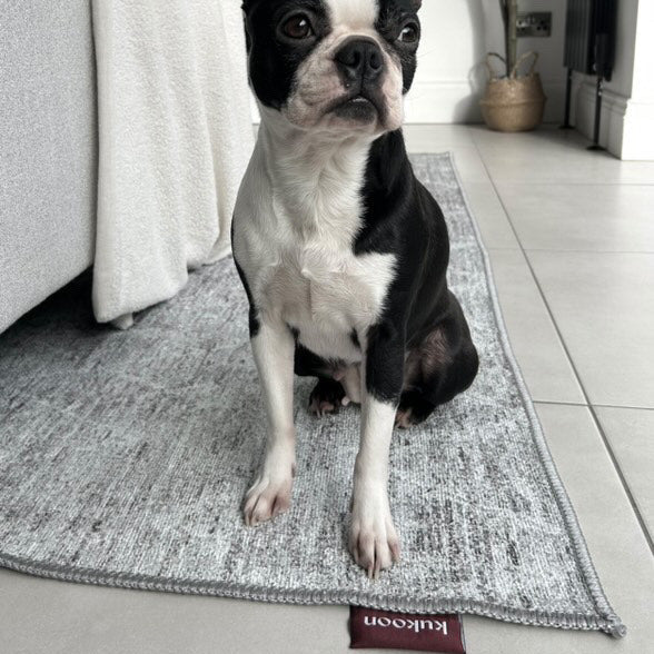 Washable Greige Berber Rug - Brindle