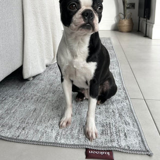 Washable Greige Berber Rug - Brindle