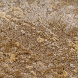 Distressed Beige Living Room Area Rug