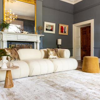 Distressed Beige Living Room Area Rug - Monroe
