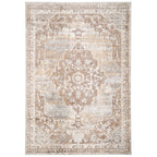 Traditional Distressed Chic Beige Area Rug