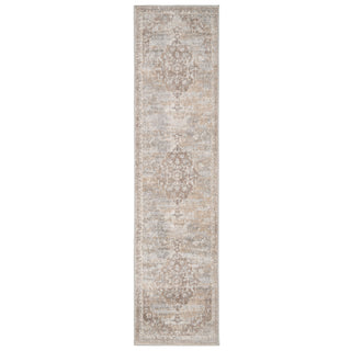 Traditional Distressed Beige Runner Rug