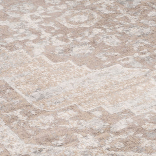 Traditional Distressed Beige Runner Rug
