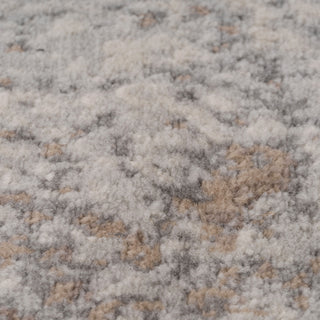 Beige Grey Distressed Area Rug