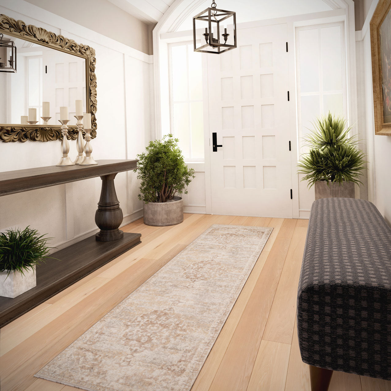 Traditional Distressed Chic Beige Area Rug