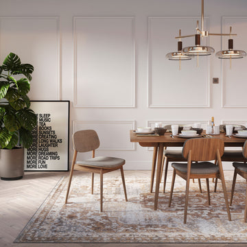 Traditional Distressed Chic Beige Area Rug