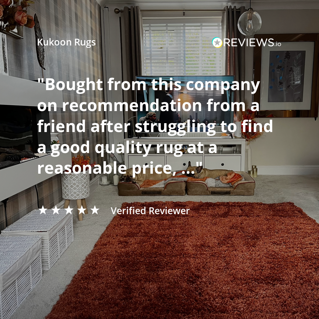 Soft Everyday Terracotta Shaggy Rug