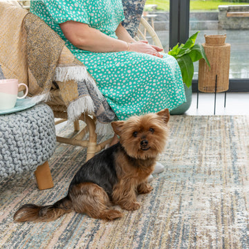 Soft Modern Blue Distressed Scratched Effect Rugs - Scatter