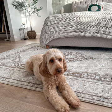 Cream Beige Medallion Rug - Artha