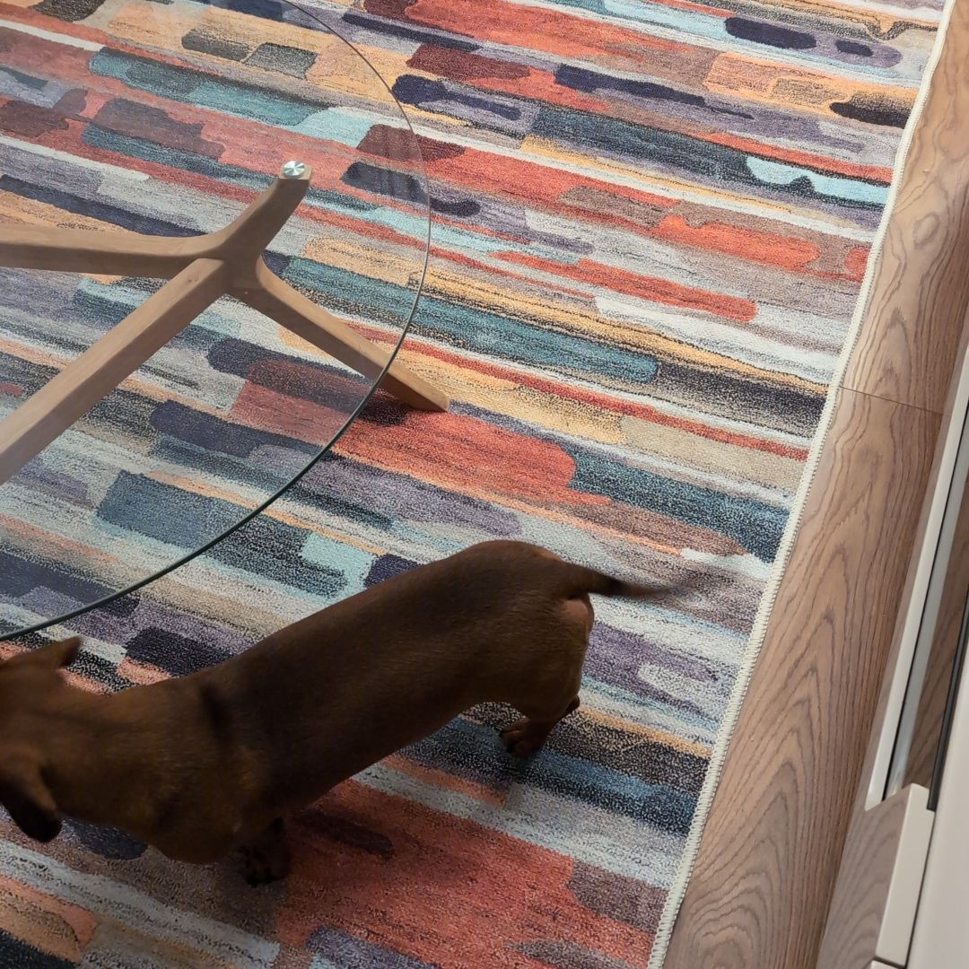 Washable Vibrant Abstract Rug - Blur