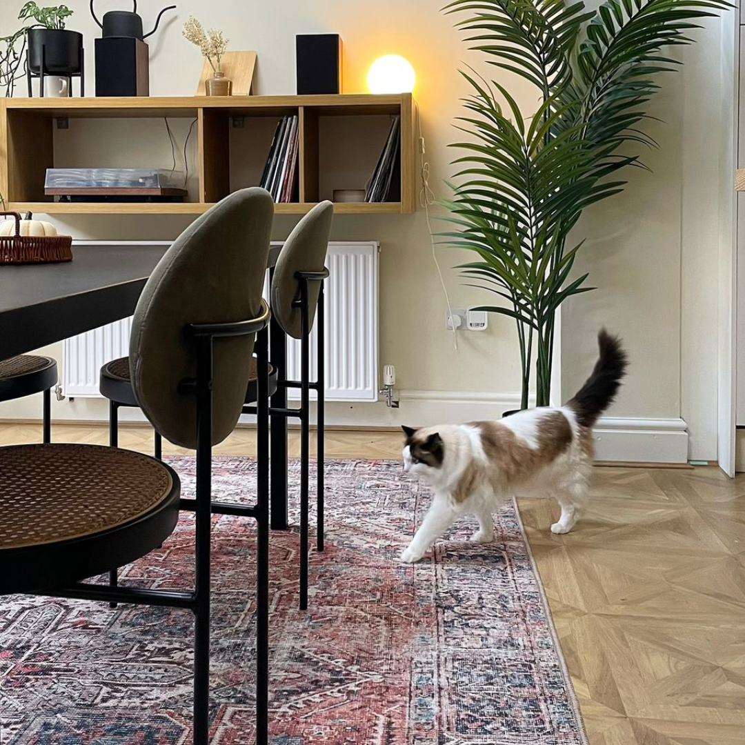 Flatwoven Washable Terracotta Medallion Area Rug - Neeve