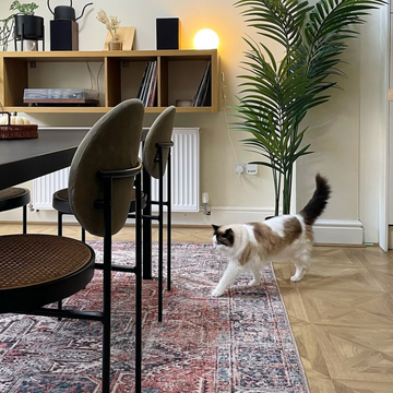 Flatwoven Washable Terracotta Medallion Area Rug - Neeve