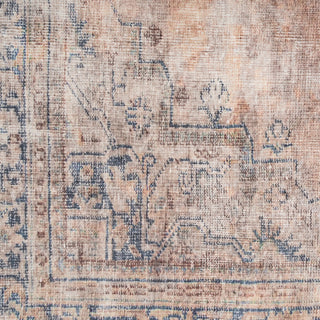 Washable Terracotta Vintage Rug - Wander