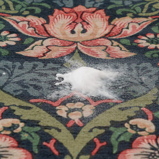 Stain Remover Spray