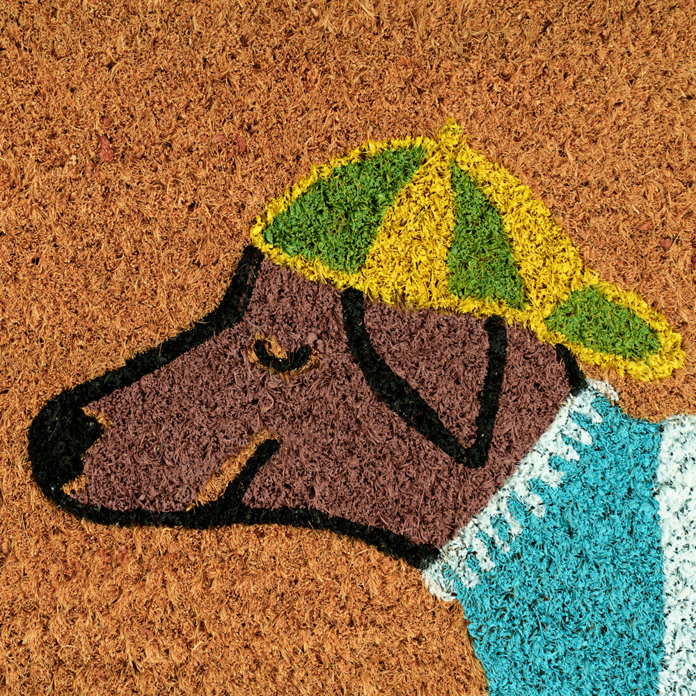 Spring Dog Coir Doormat