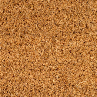 Hello Fox Coir Doormat