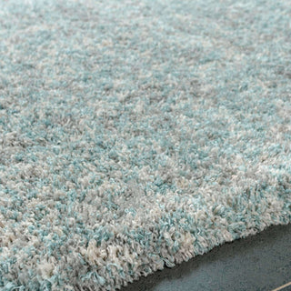 Soft Mottled Duck Egg Shaggy Area Rug