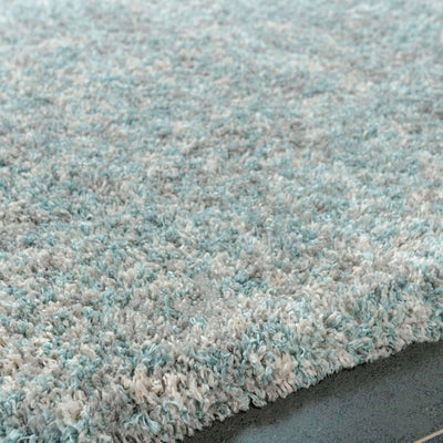 Soft Mottled Duck Egg Shaggy Area Rug