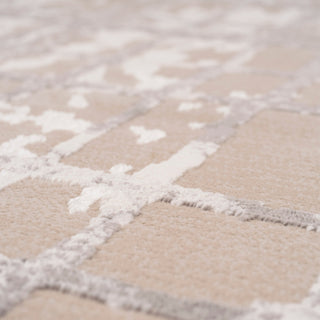 Distressed Linear Beige Silver Rug - Diora