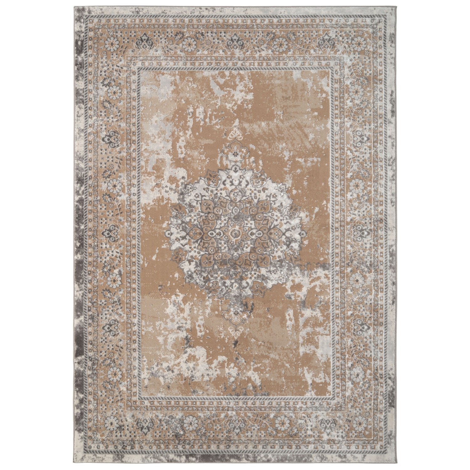 Traditional Distressed Beige Area Rug