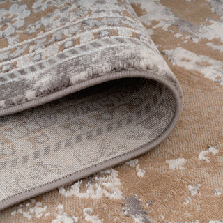 Traditional Distressed Beige Area Rug