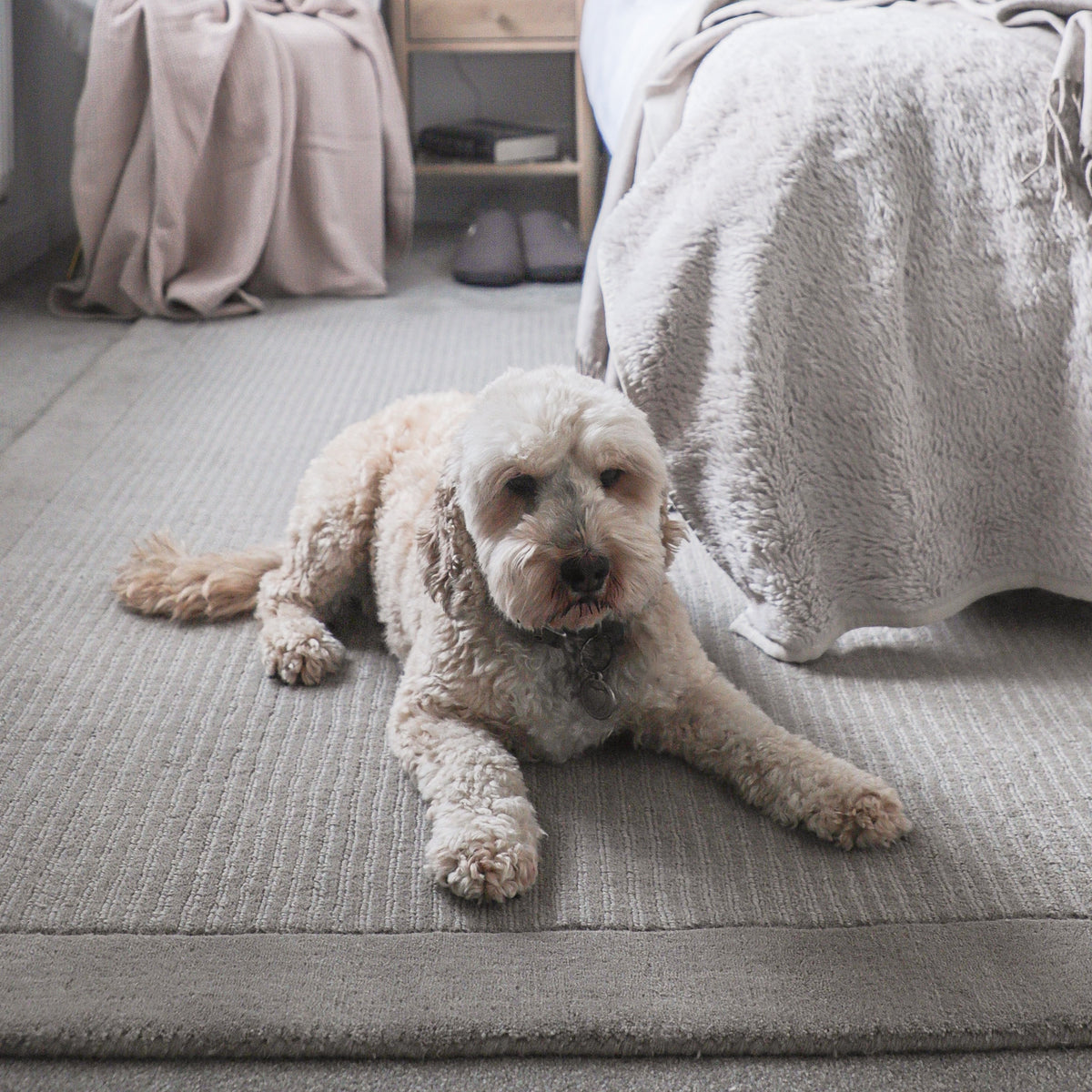 Grey Bordered Wool Rug - Olann Grey