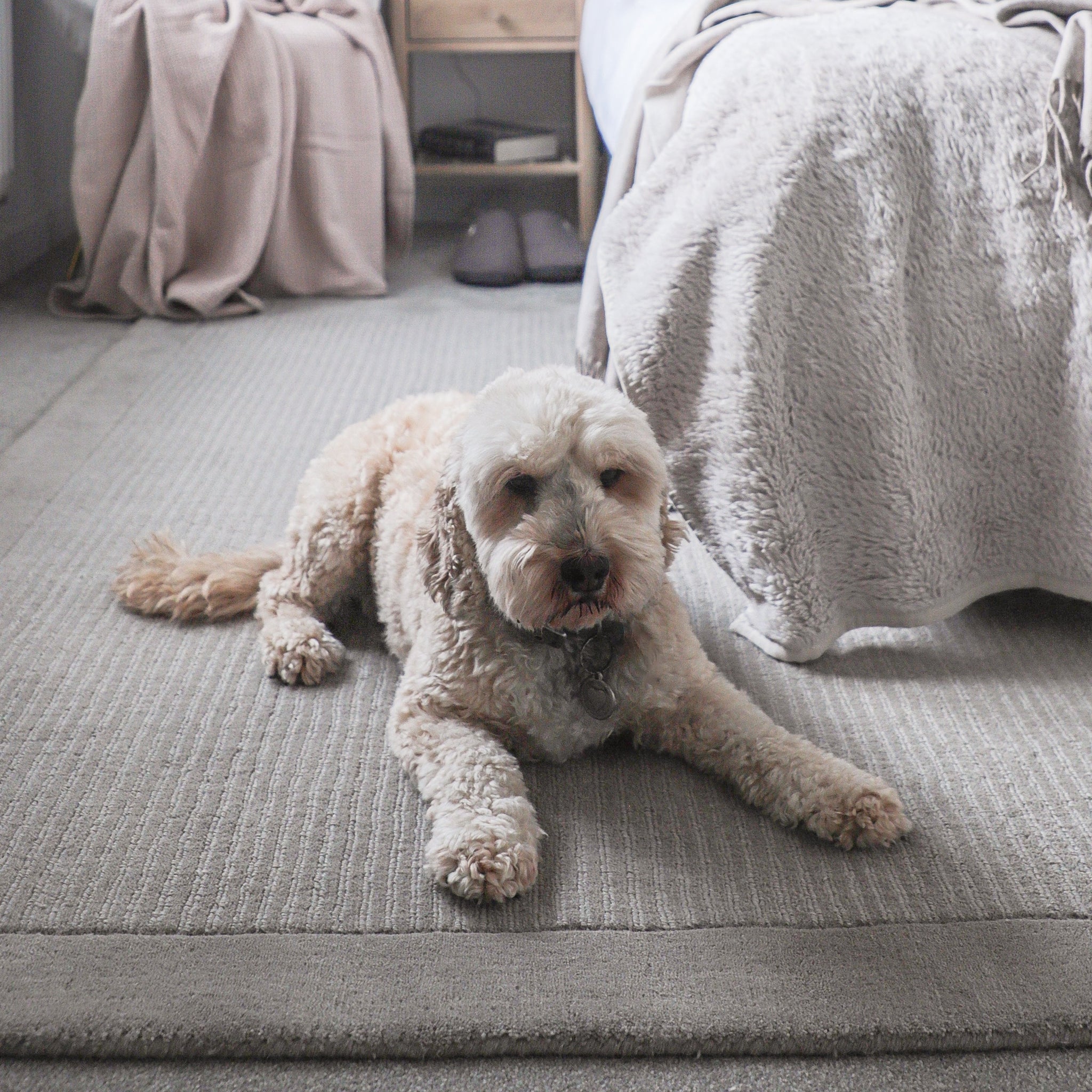 Grey Bordered Wool Rug - Olann Grey