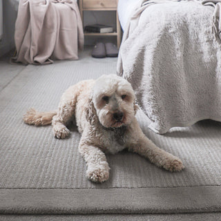 Grey Bordered Wool Rug - Olann Grey