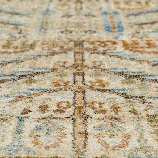 Cream Traditional Living Room Rug - Liora