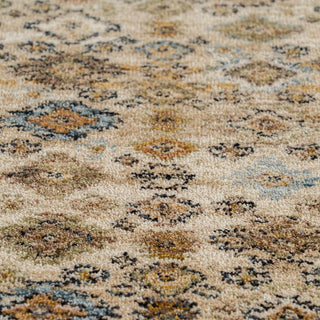 Beige Traditional Living Room Rug - Marta