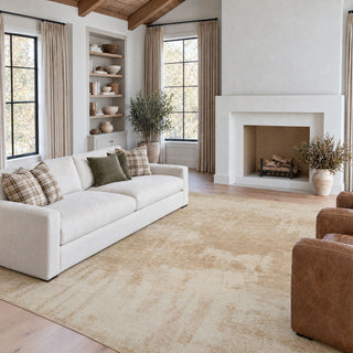 Cream Beige Abstract Living Room Rug - Nellie