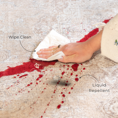 Flatwoven Washable Indoor Doormat - Carrie