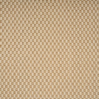 Multi Spotted Stripes Mat