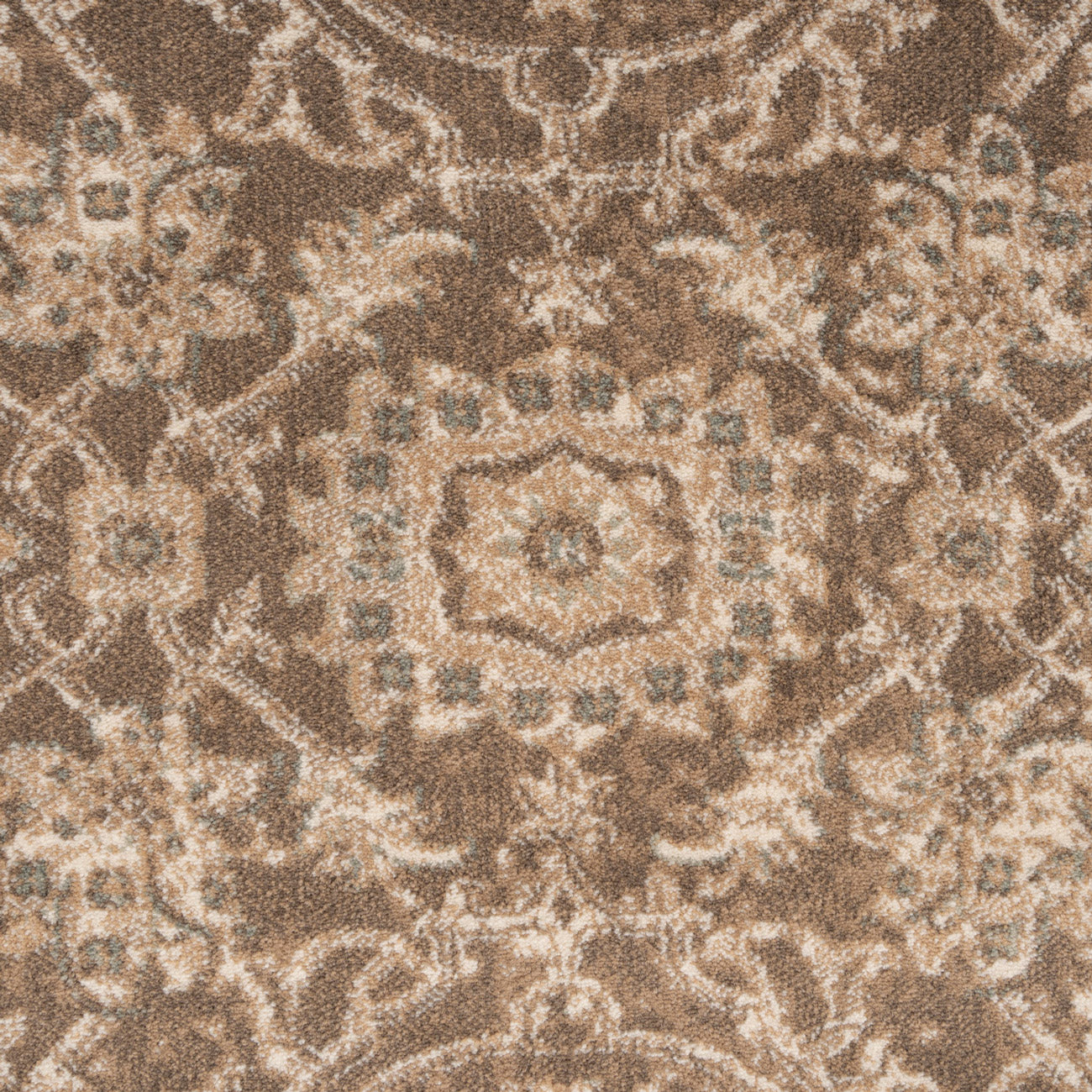 Plush Traditional Brown Rug - Sarina
