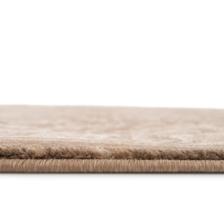 Plush Traditional Brown Rug - Sarina