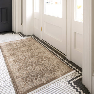 Plush Traditional Brown Rug - Sarina