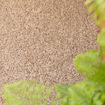 Oatmeal Shaggy Runner Rug