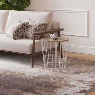 Beige Grey Distressed Area Rug