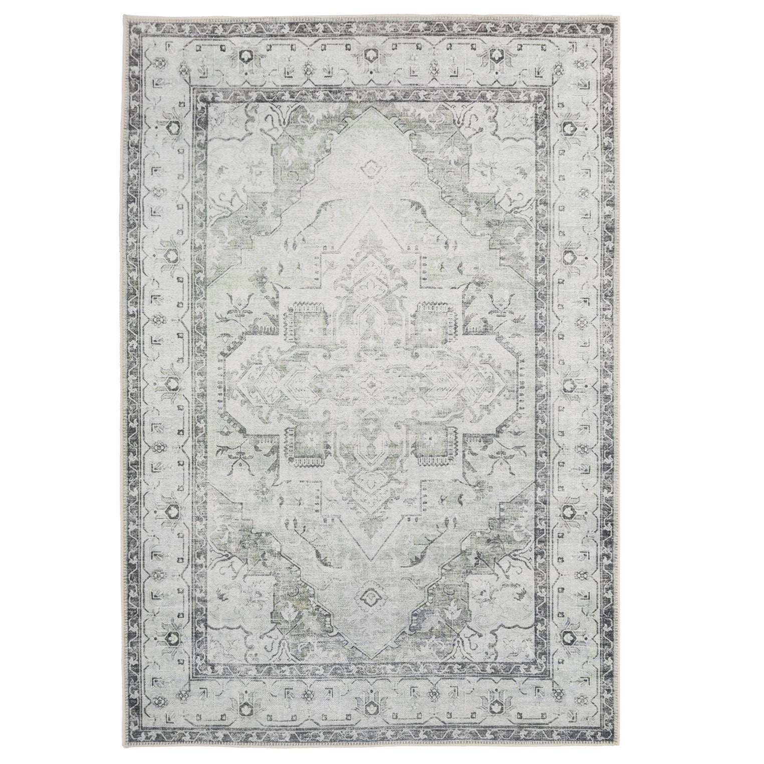Flatwoven Washable Light Green Bordered Area Rug - Rumi